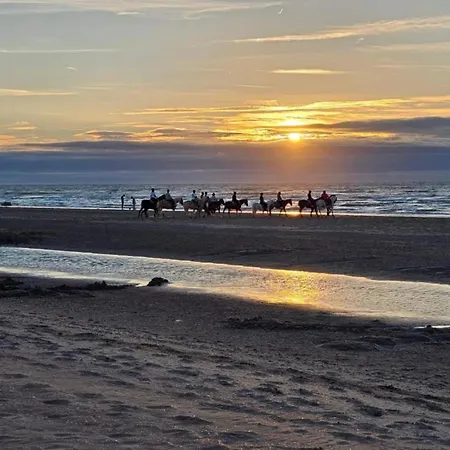 By Belgian Coast With Views, Cleaning Included * Oostduinkerke
