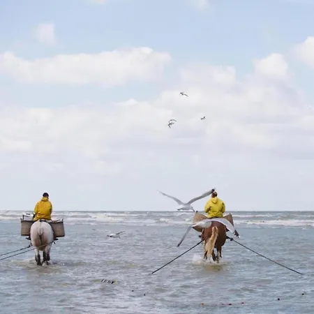 By Belgian Coast With Views, Cleaning Included *