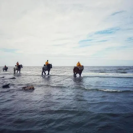By Belgian Coast With Views, Cleaning Included * Oostduinkerke